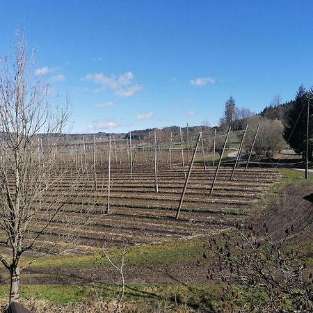 Ferienhof Hopfgaertle Mueller Bodnegg Εξωτερικό φωτογραφία