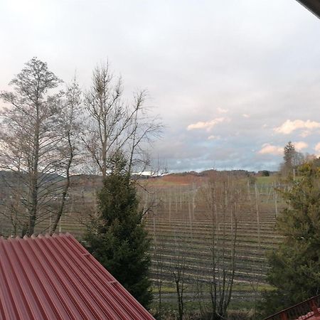 Ferienhof Hopfgaertle Mueller Bodnegg Εξωτερικό φωτογραφία