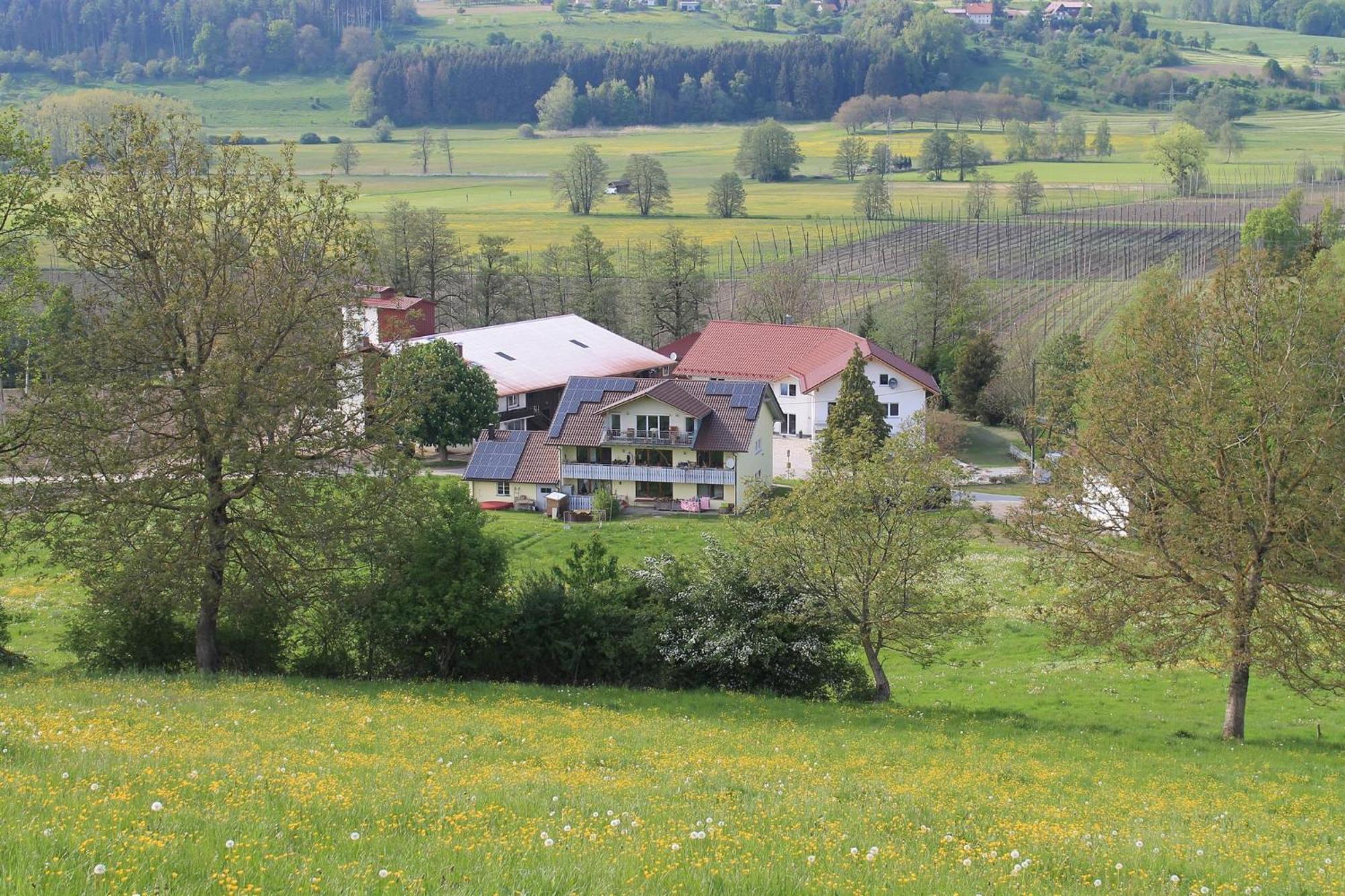 Ferienhof Hopfgaertle Mueller Bodnegg Εξωτερικό φωτογραφία