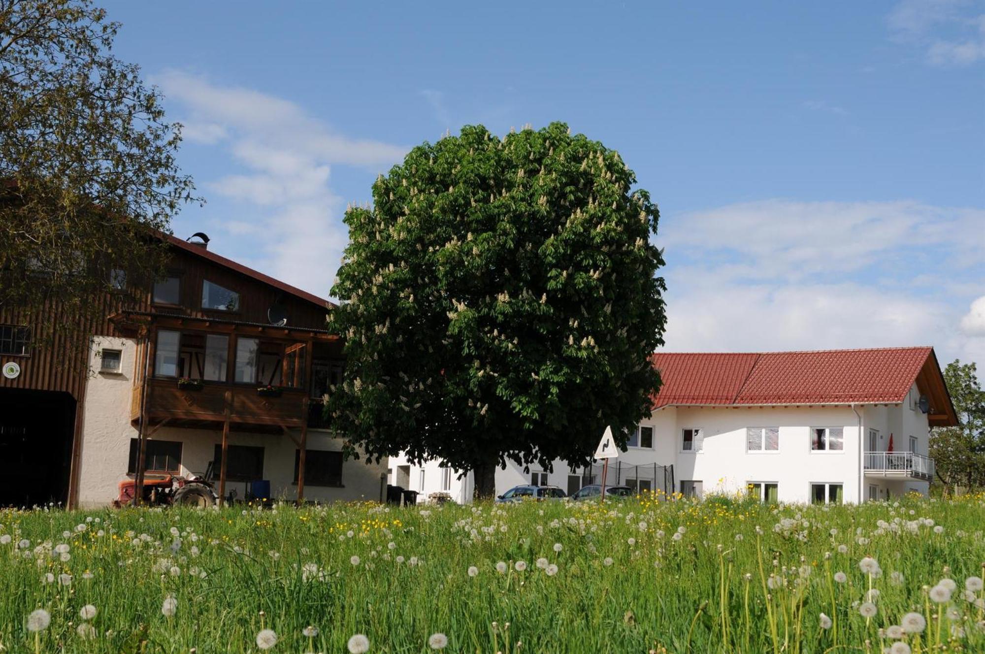 Ferienhof Hopfgaertle Mueller Bodnegg Εξωτερικό φωτογραφία